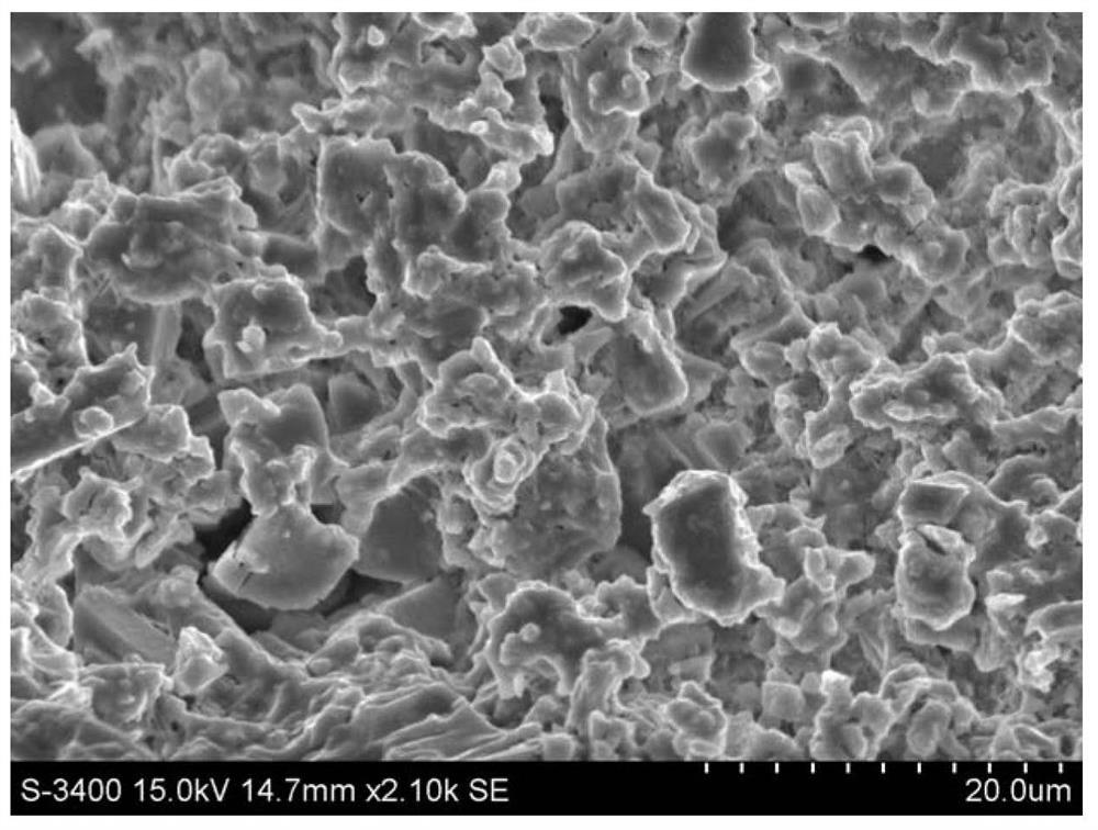 A kind of metavanadate fluorescent ceramic bulk material and preparation method thereof