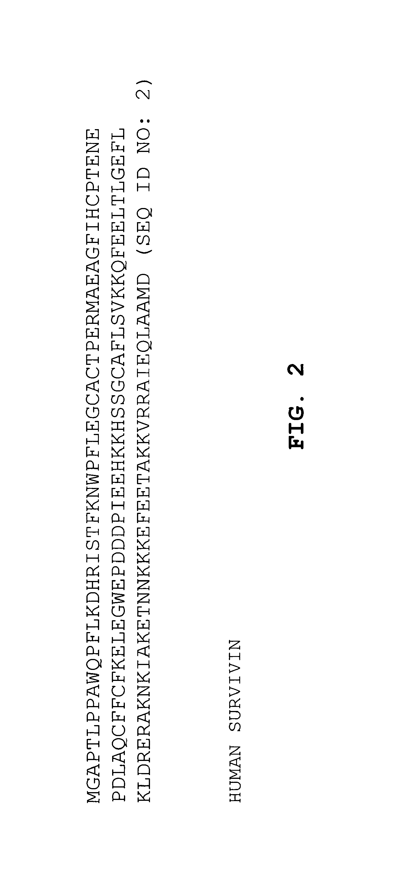 DNA vaccines against tumor growth and methods of use thereof