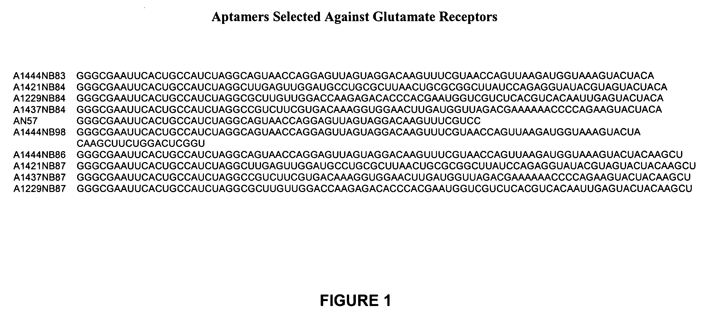 Nucleic acid inhibitors of glutamate receptors