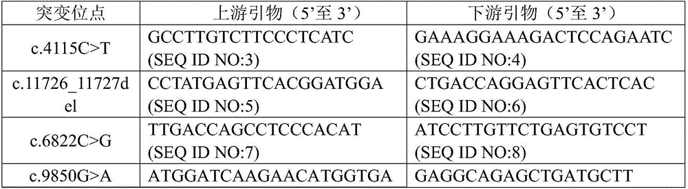 MMAF virulence gene novel mutation and application thereof