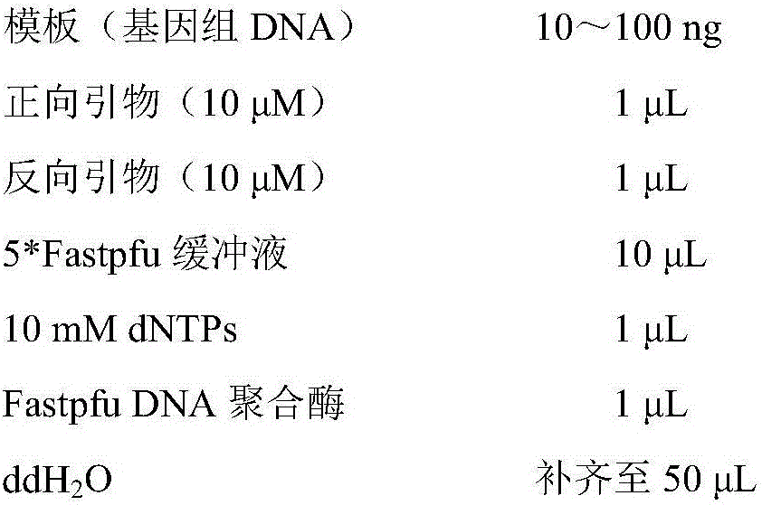 MMAF virulence gene novel mutation and application thereof