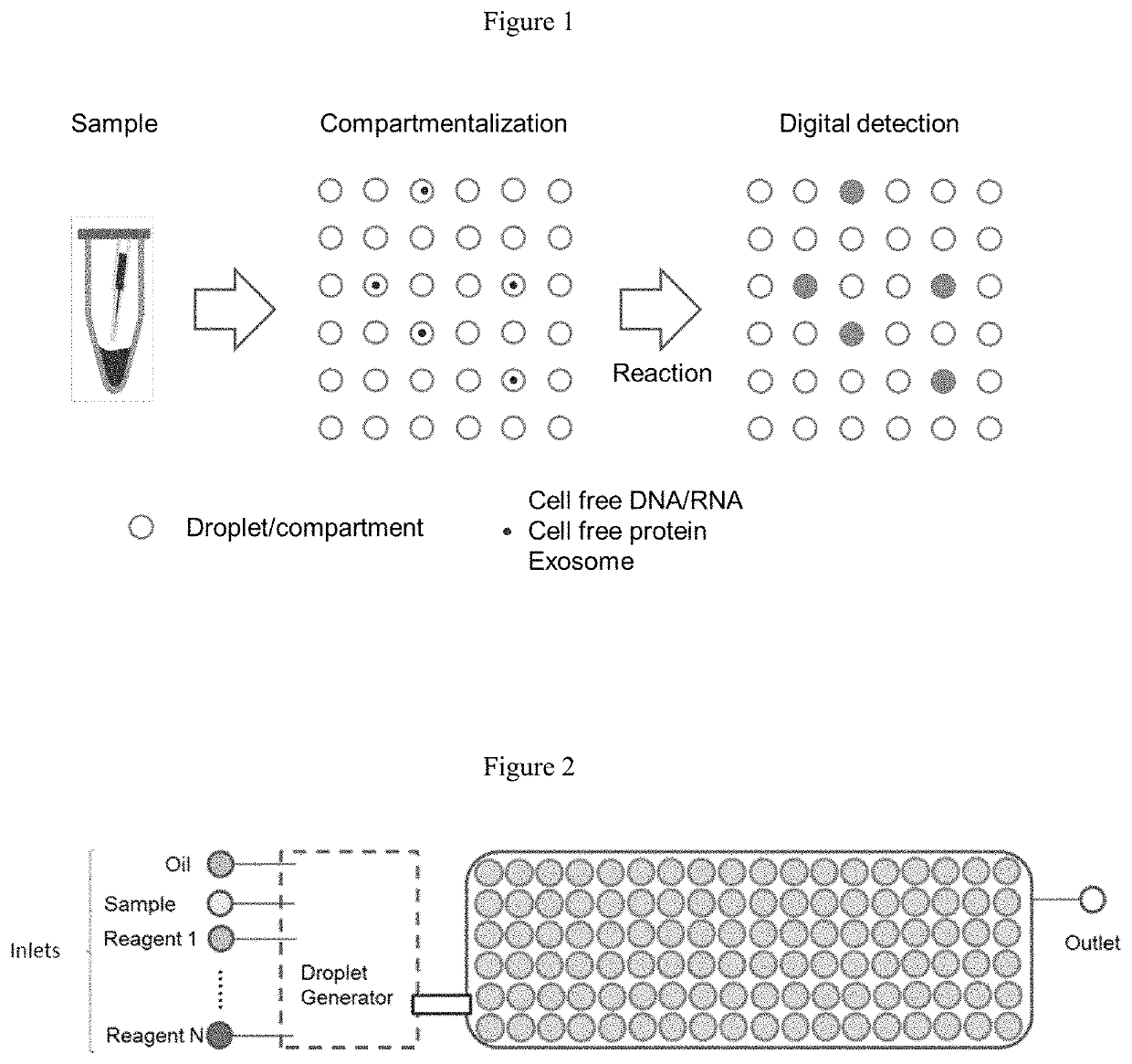 Co-detection and digital quantification of bioassay