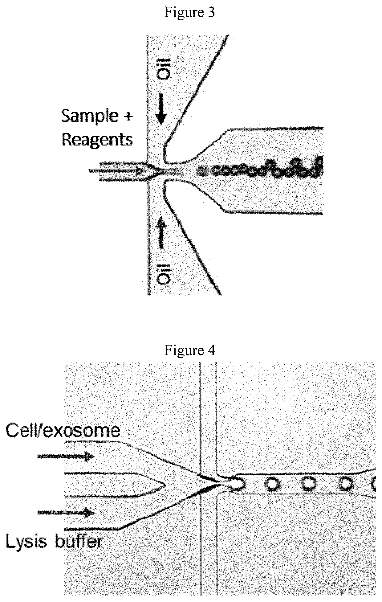 Co-detection and digital quantification of bioassay