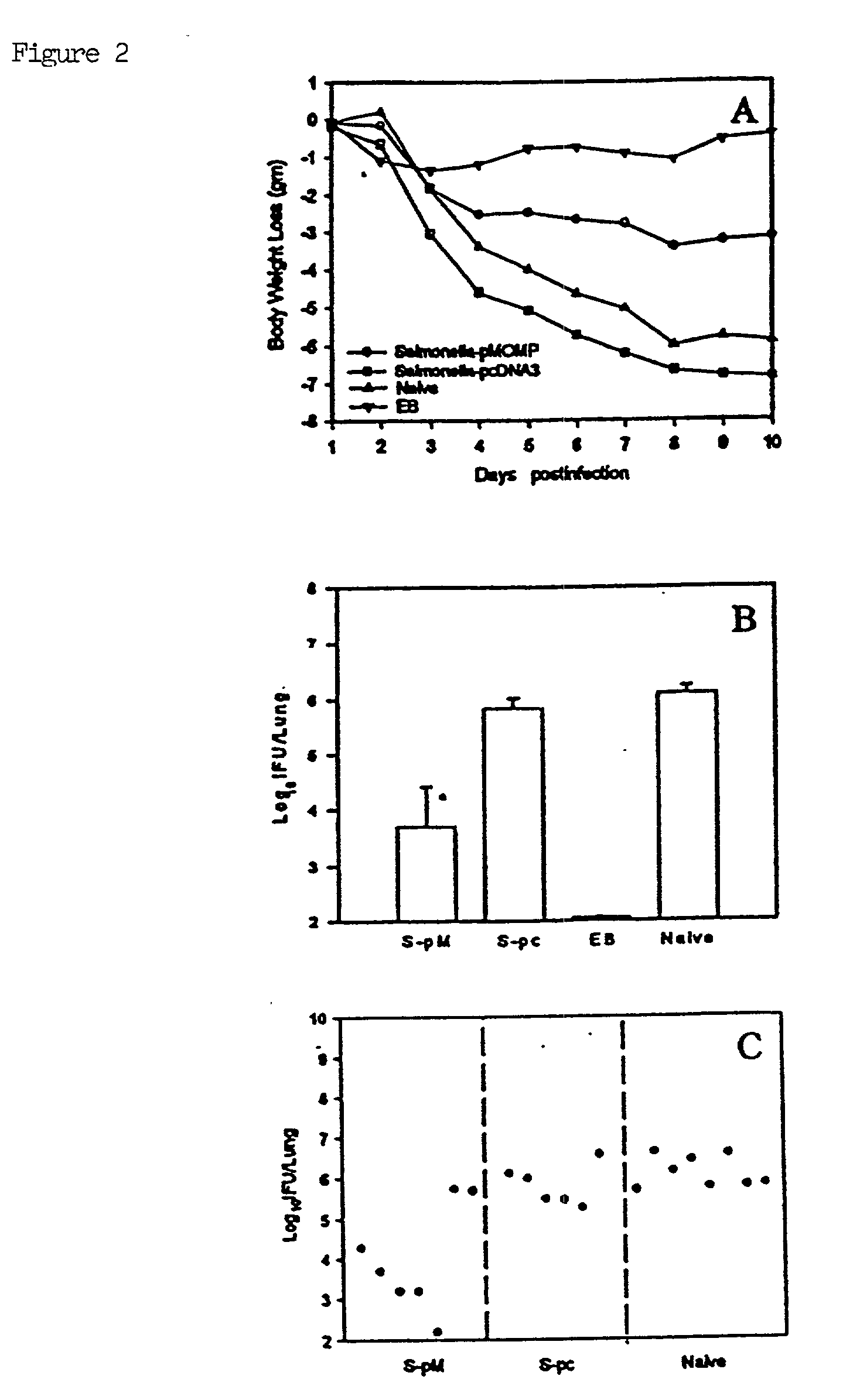 Two-step immunization procedure against chlamydia infection