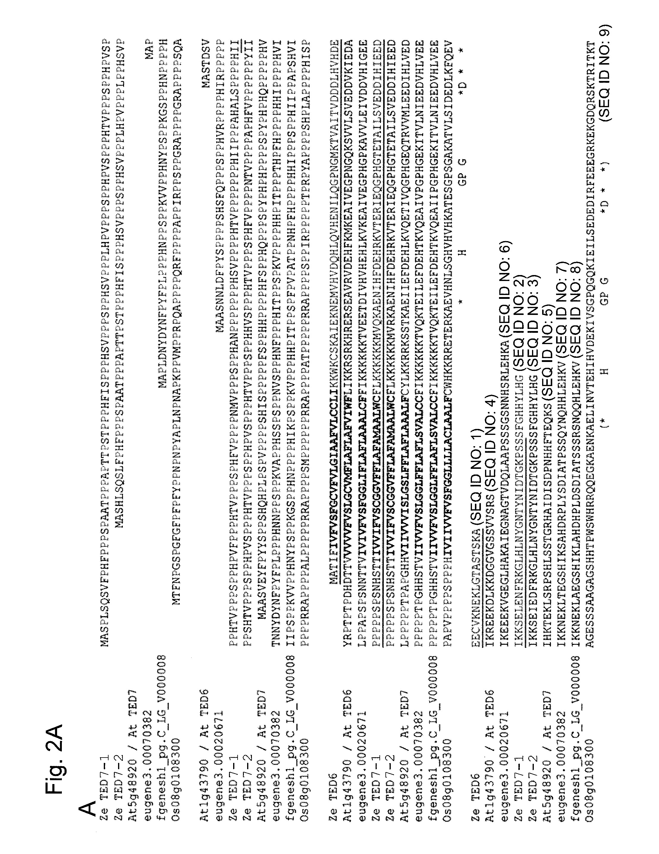 Method for promoting the formation of secondary cell wall of plant