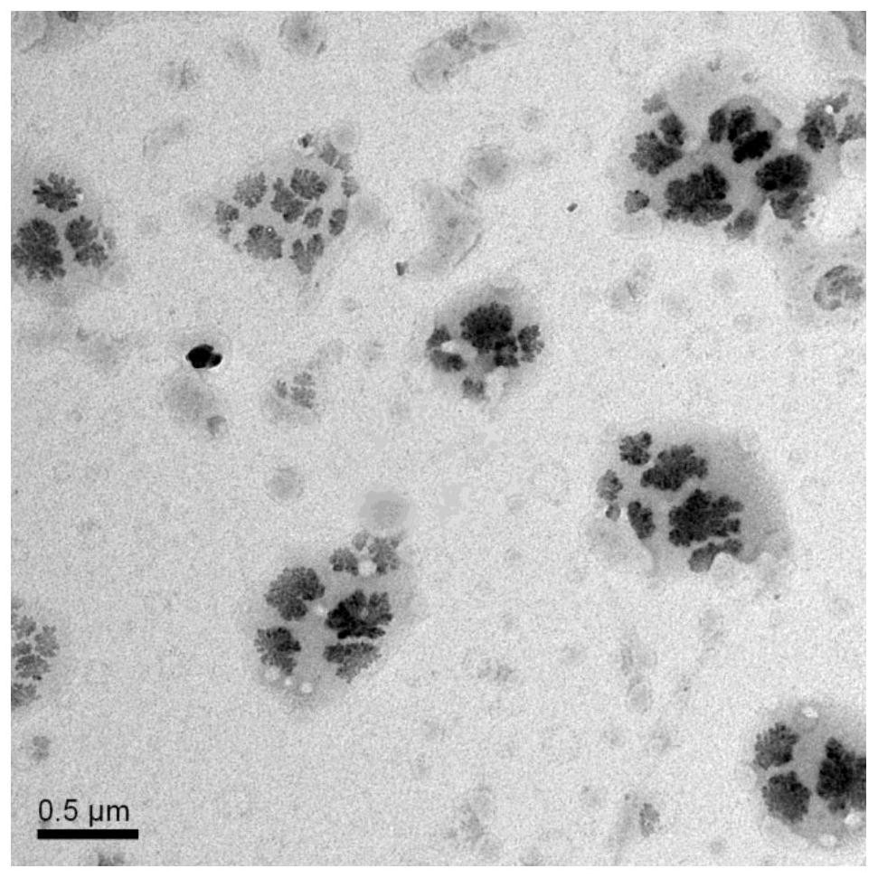 Preparation method and application of pigment/organic silicon ...