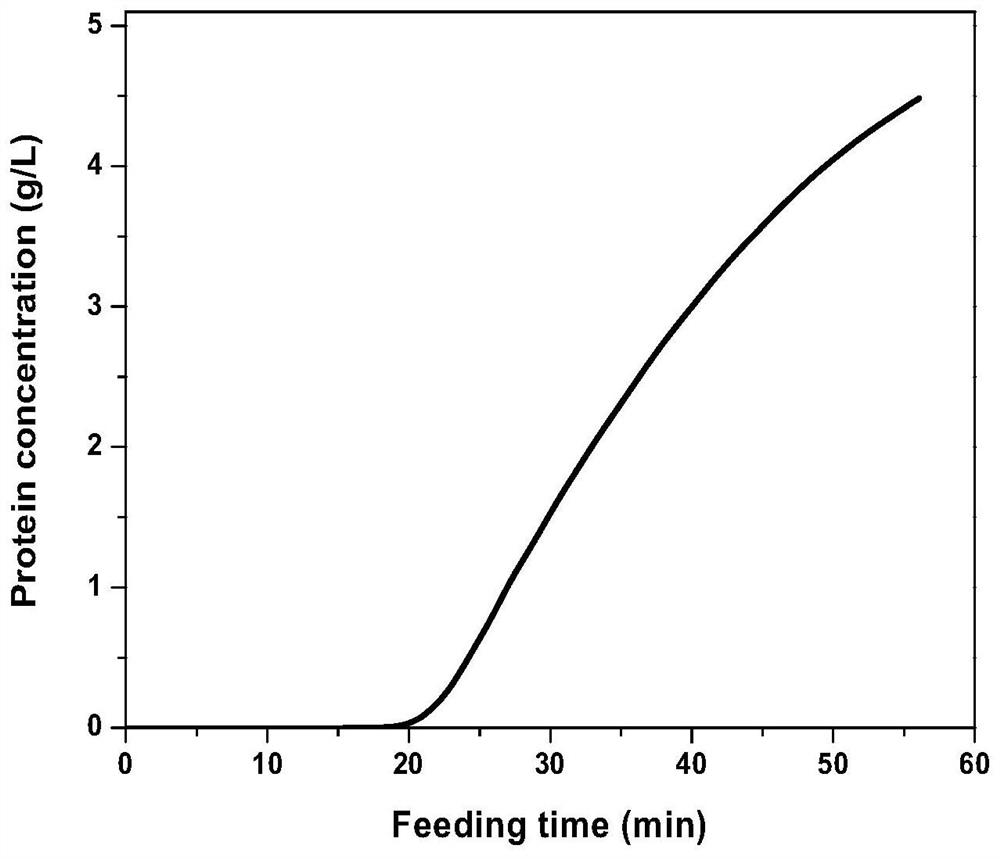 An optimized method for protein capture by multi-column continuous flow chromatography