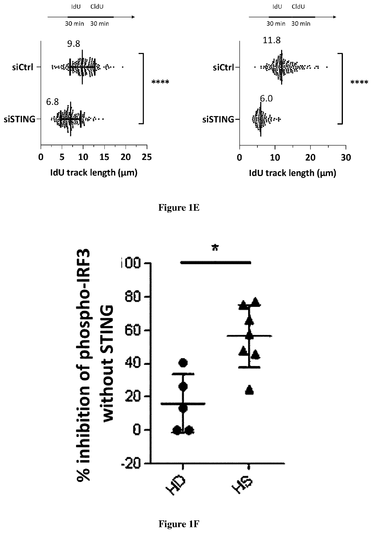 Inhibitors of the sting pathway for the treatment of hidradenitis suppurativa