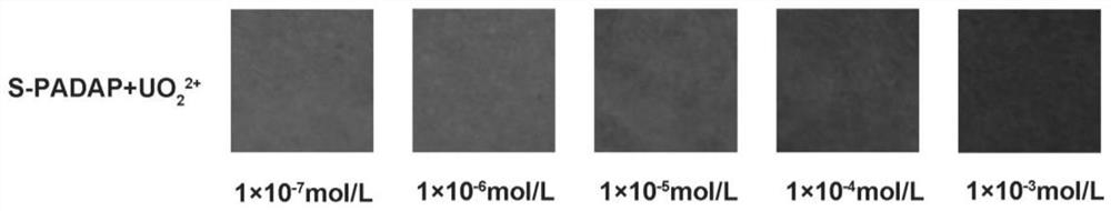 2-(5-bromo-2-pyridylazo)-5-diethylaminophenol derivative, its preparation method and application