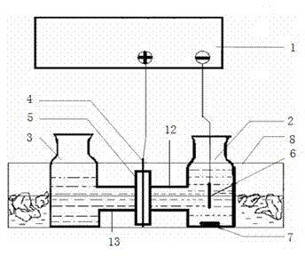 Device and method for preparing anodic aluminum oxide template with large pore diameter