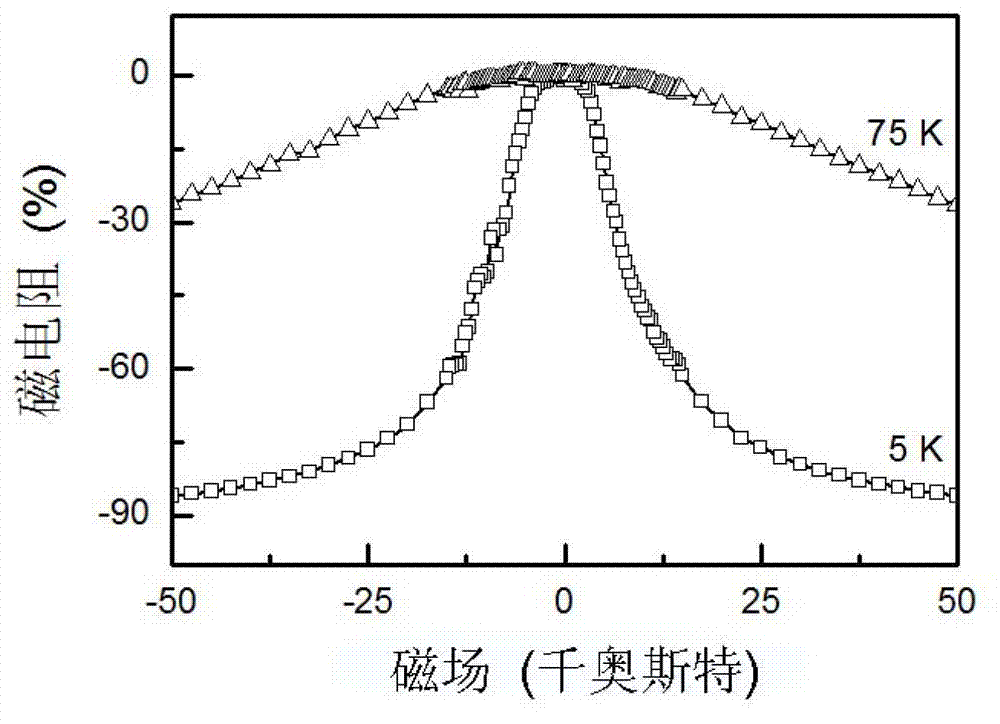 GdN film with large magnetoresistance effect, and preparation method thereof