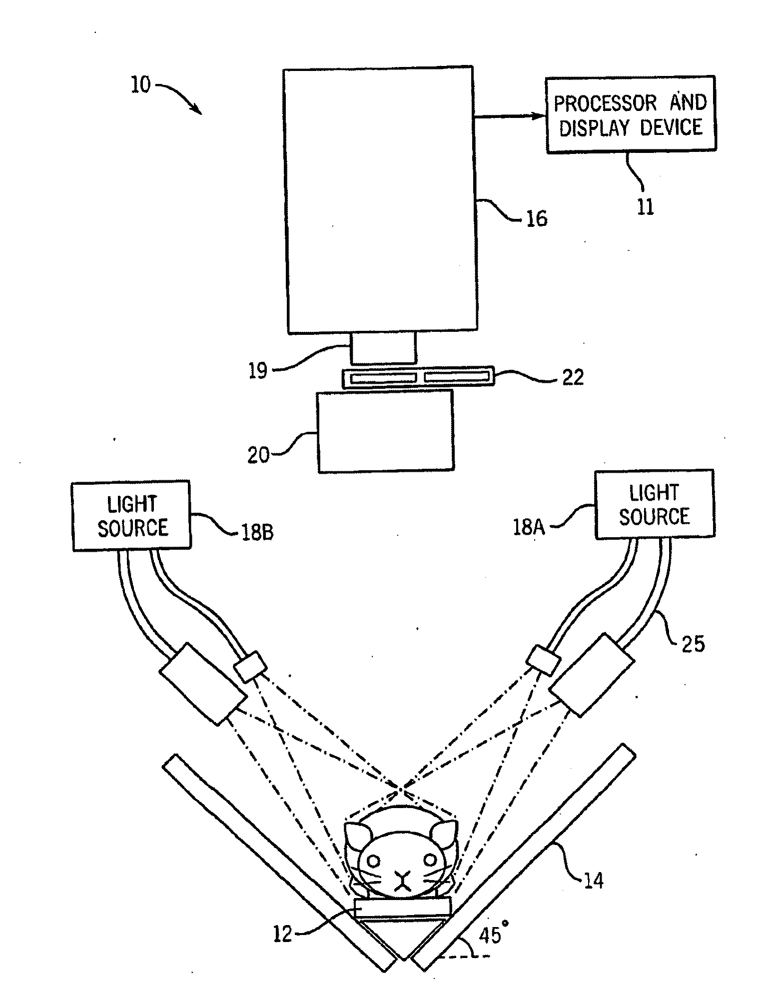In-vivo optical imaging method including analysis of dynamic images