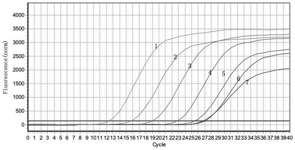 A primer probe set, kit and detection method for detecting duck astrovirus type 3 based on real-time fluorescent quantitative PCR