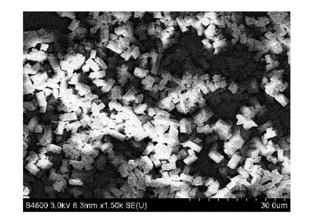 Iridium metal coordination compound organic fluorescent nanoparticles and preparation method thereof