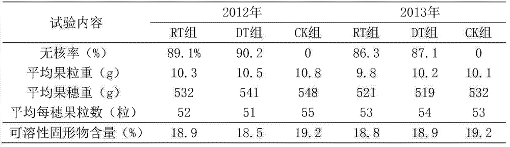 A kind of sun rose grape seedless cultivation method