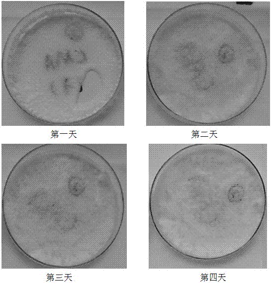 Atmospheric particulate trapping agent and application thereof in aspect of air purification