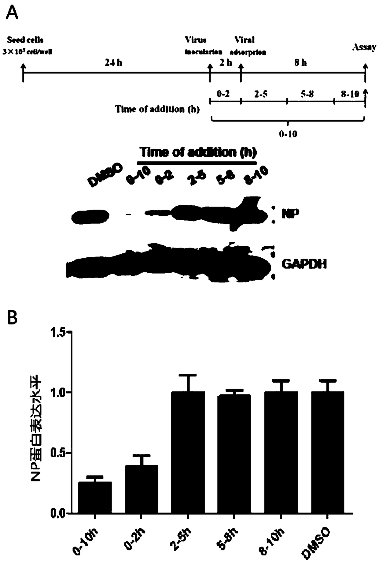 Triterpene-amino acid derivative as well as preparation method and application thereof