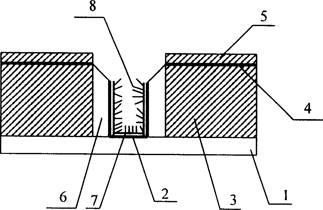 Panel display having integrated vertical groove type cathode structure and its manufacturing technology