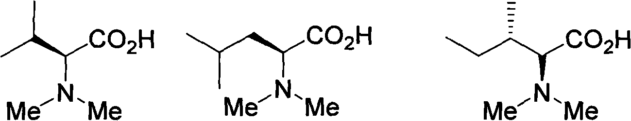 Method for alkylating amine and amino acid