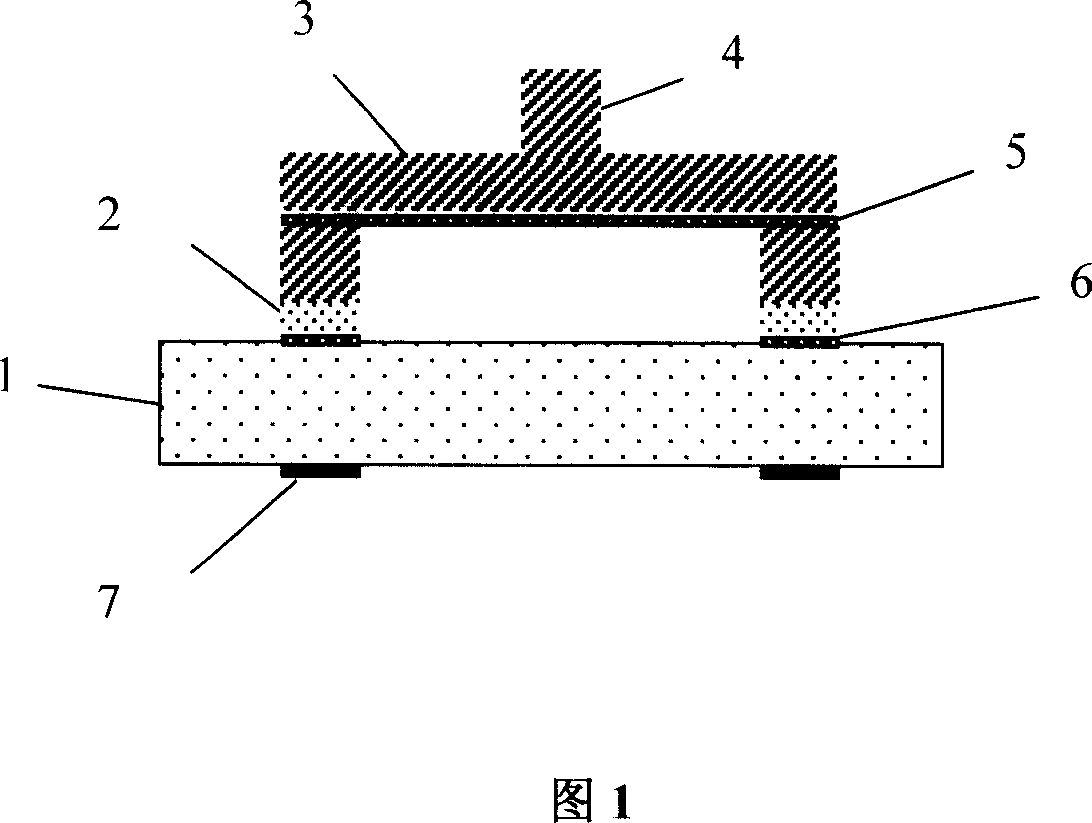 Simple-beam type microelectronic mechanical system detection card and producing method thereof