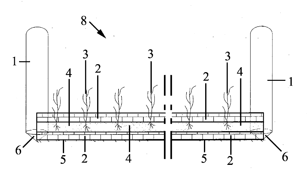 Submerged plant modularized growth bed and method for recovering growth of underwater submerged plant
