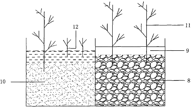 Nesting mixed flow constructed wetland
