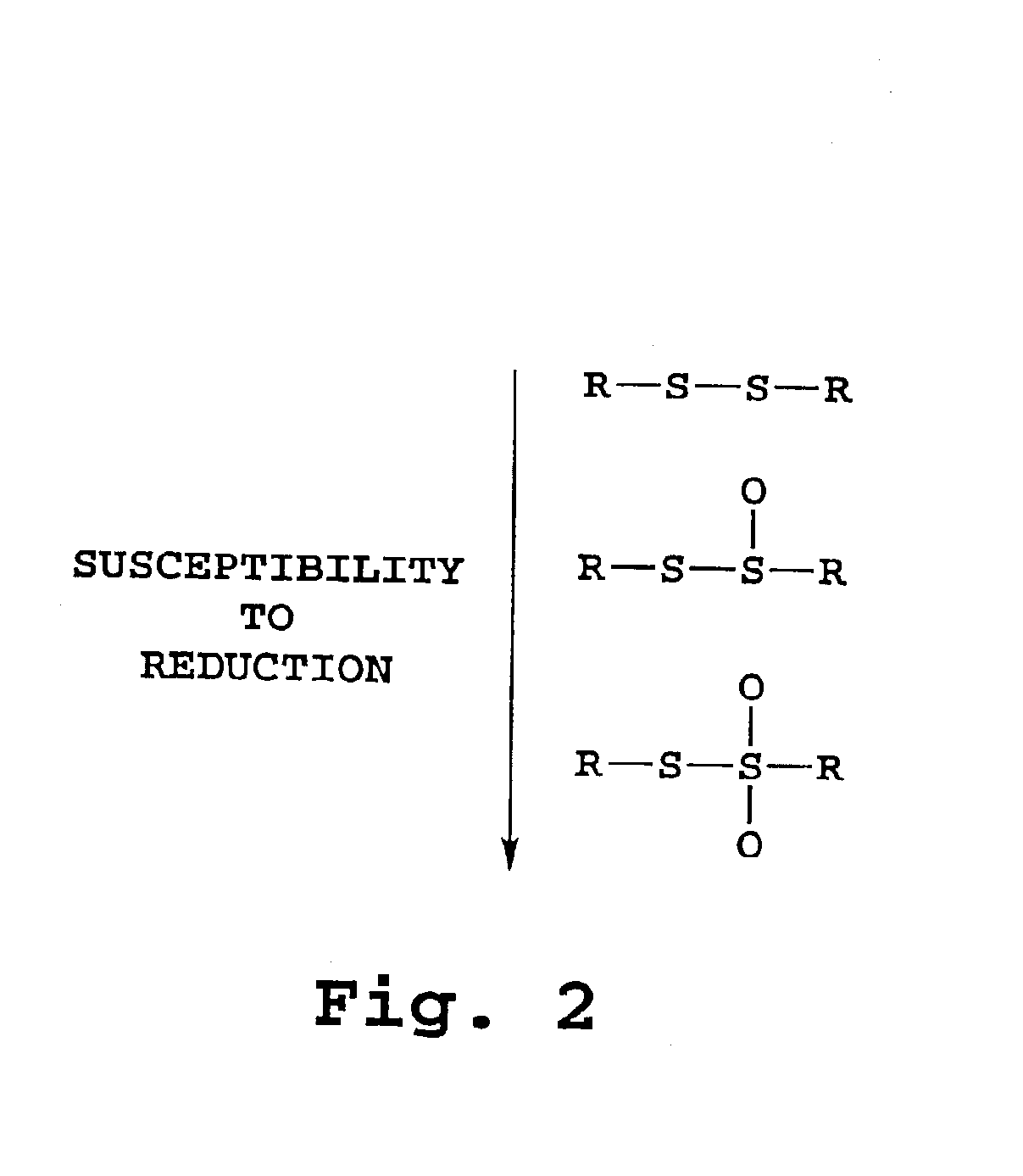 Therapeutic liposome composition and method