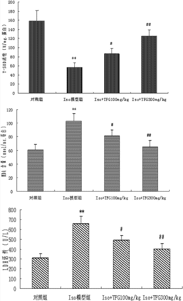 Application of gynostemma pentaphylla general flavone in preparation of medicines for preventing and treating cardiac hypertrophy