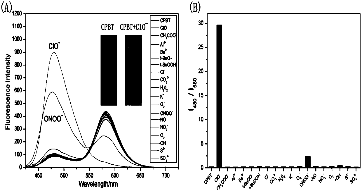 A Mitochondria-targeted Proportional Fluorescent Probe for Hypochlorous Acid Based on Fluorescence Resonance Energy Transfer Mechanism and Its Application