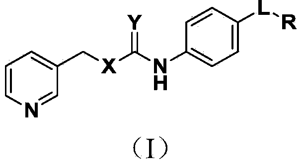 Urea type derivative used as nicotinamide ribose phosphate transferase inhibitor, as well as preparation method and application thereof