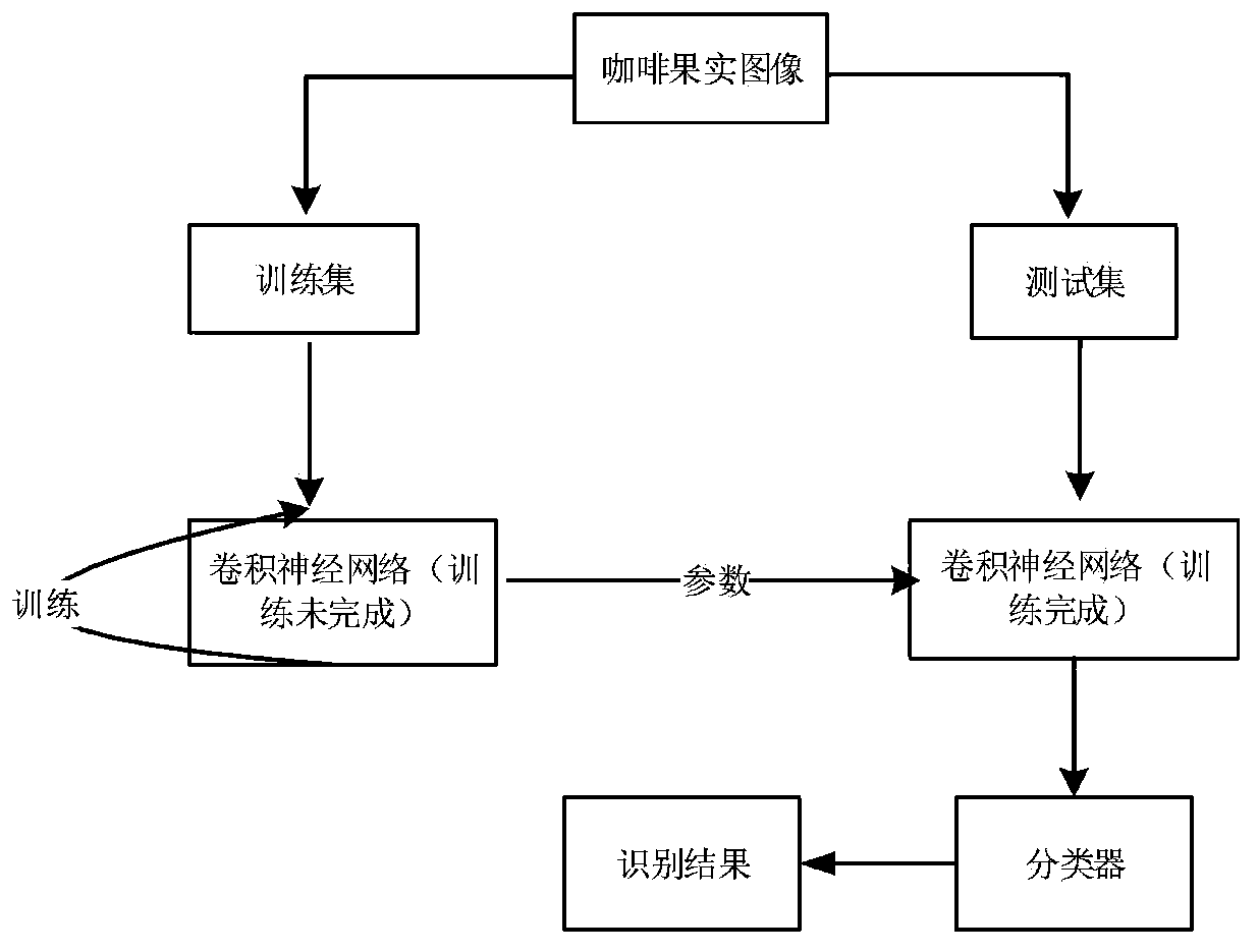 Coffee fruit maturity identification method based on deep learning