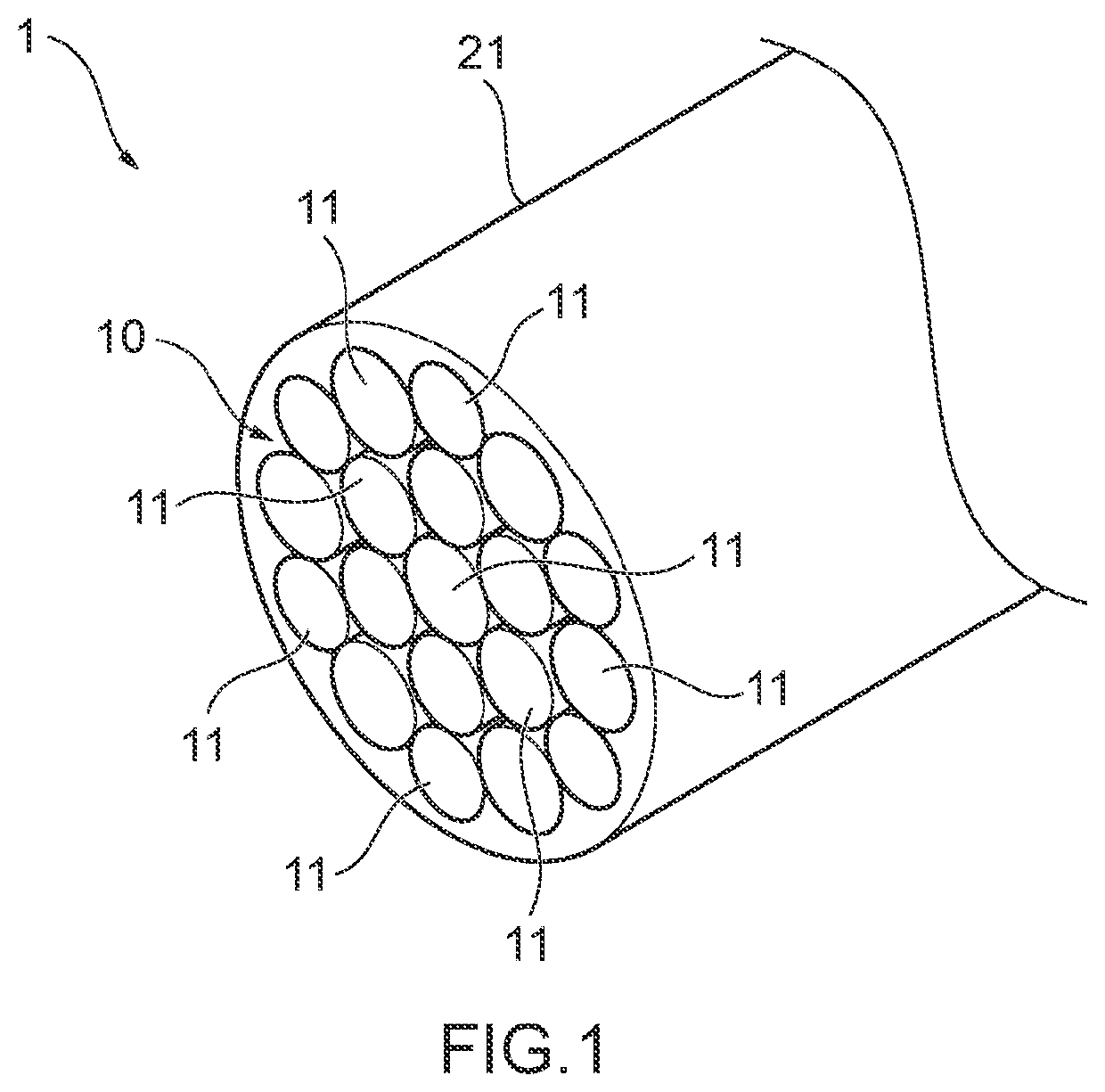 Coated carbon nanotube electric wire