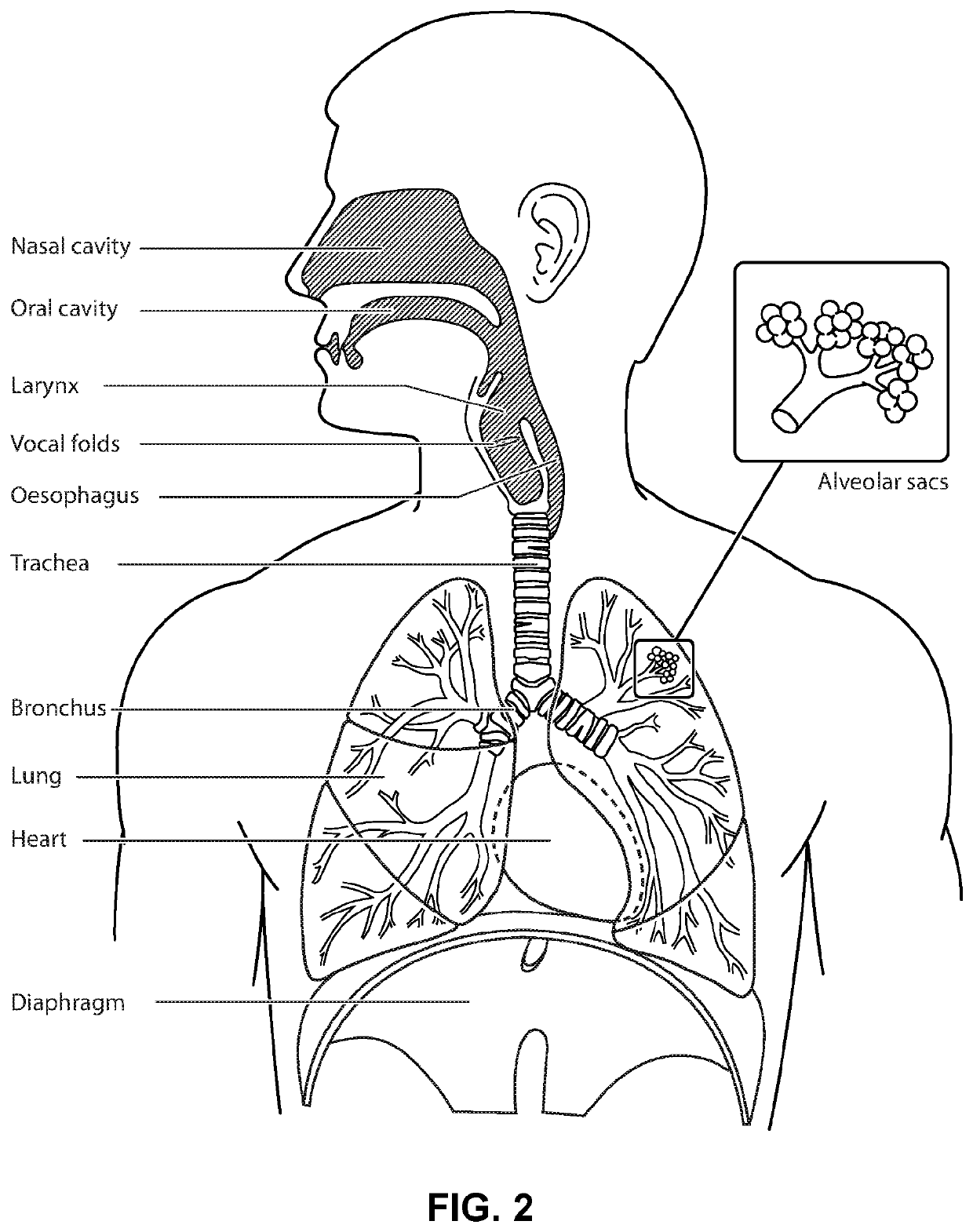 Diagnosis and monitoring of cardio-respiratory disorders