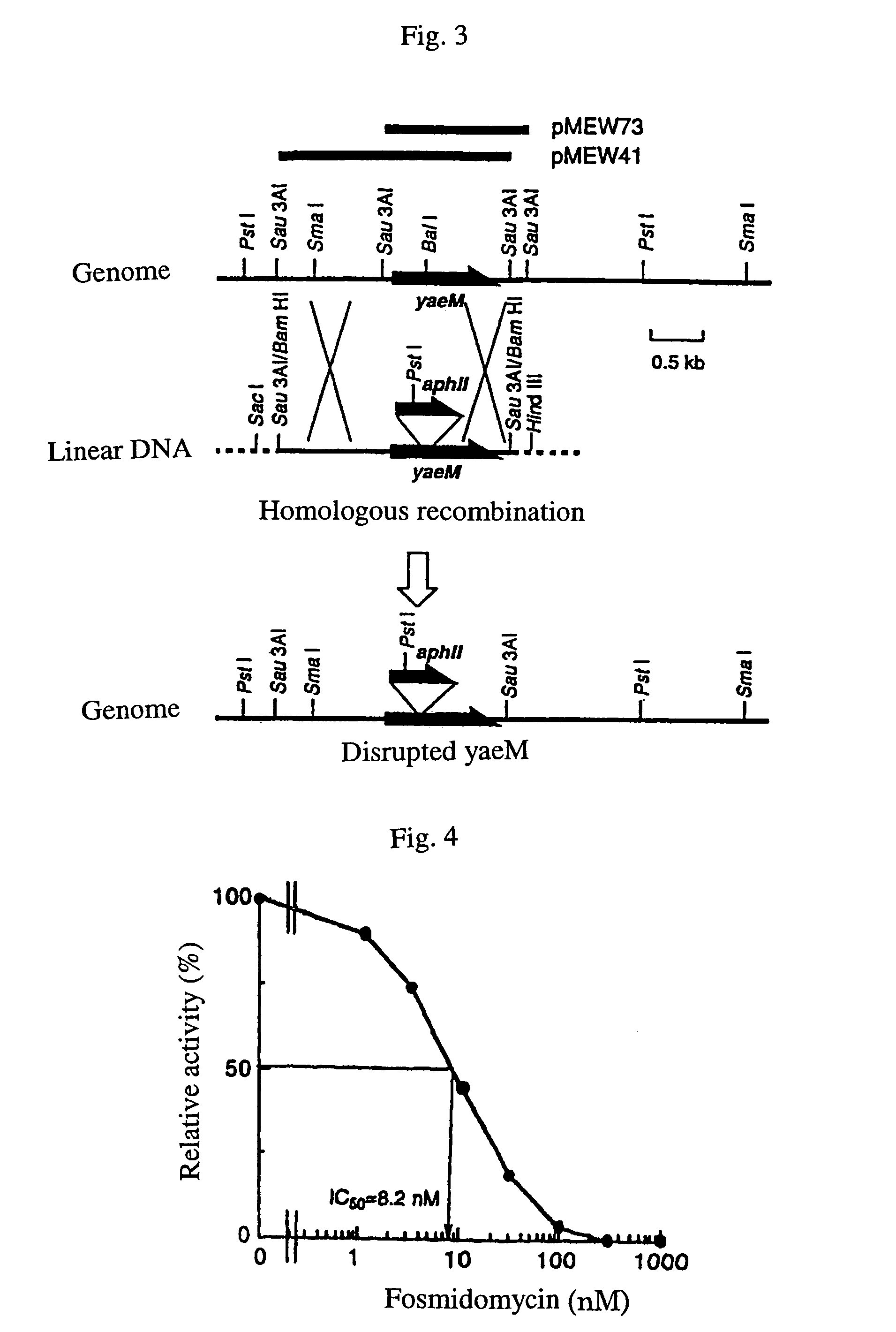Process for producing isoprenoid compounds by microorganisms and a method for screening compounds with antibiotic or weeding activity