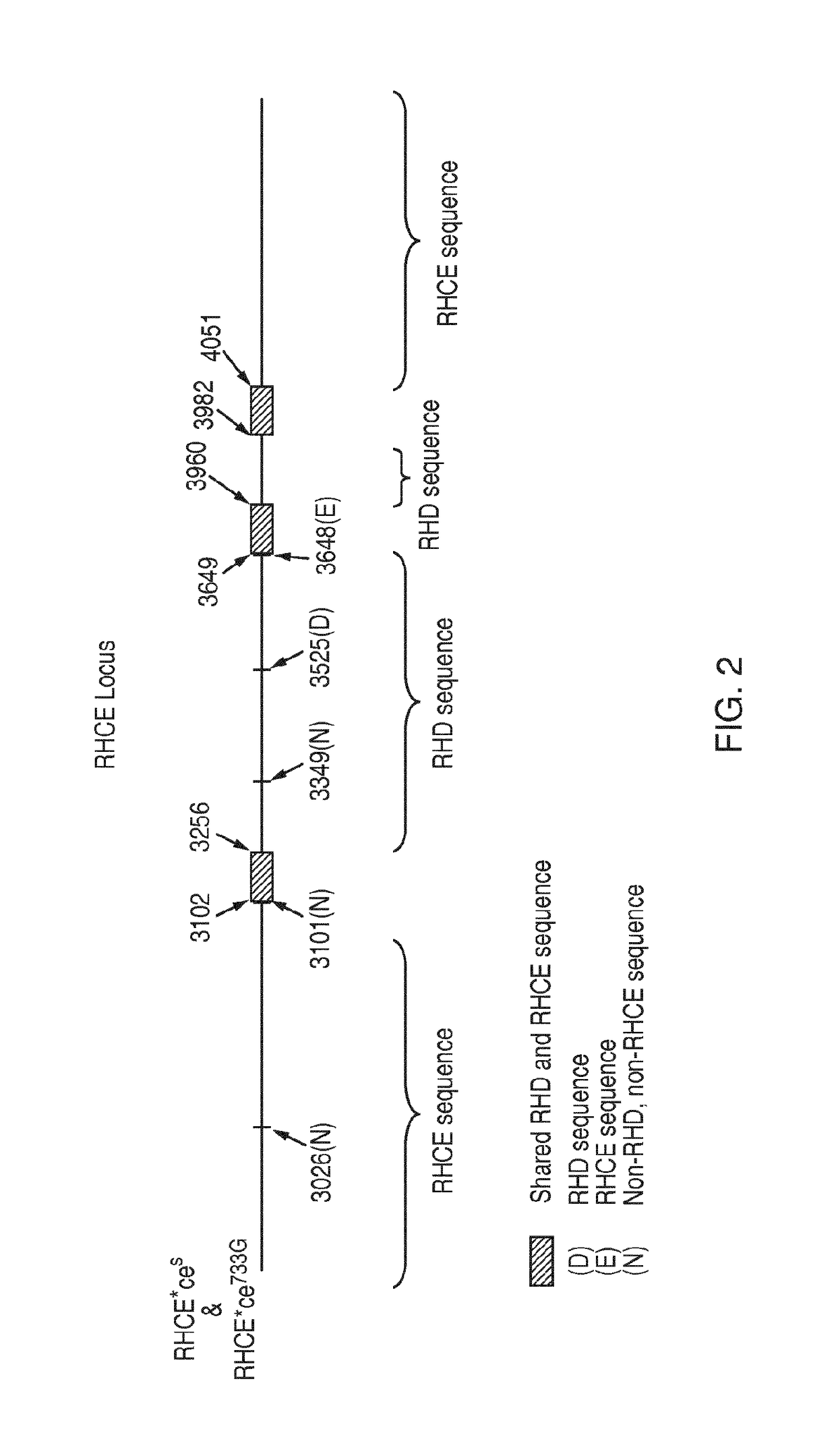 Discrimination of blood type variants