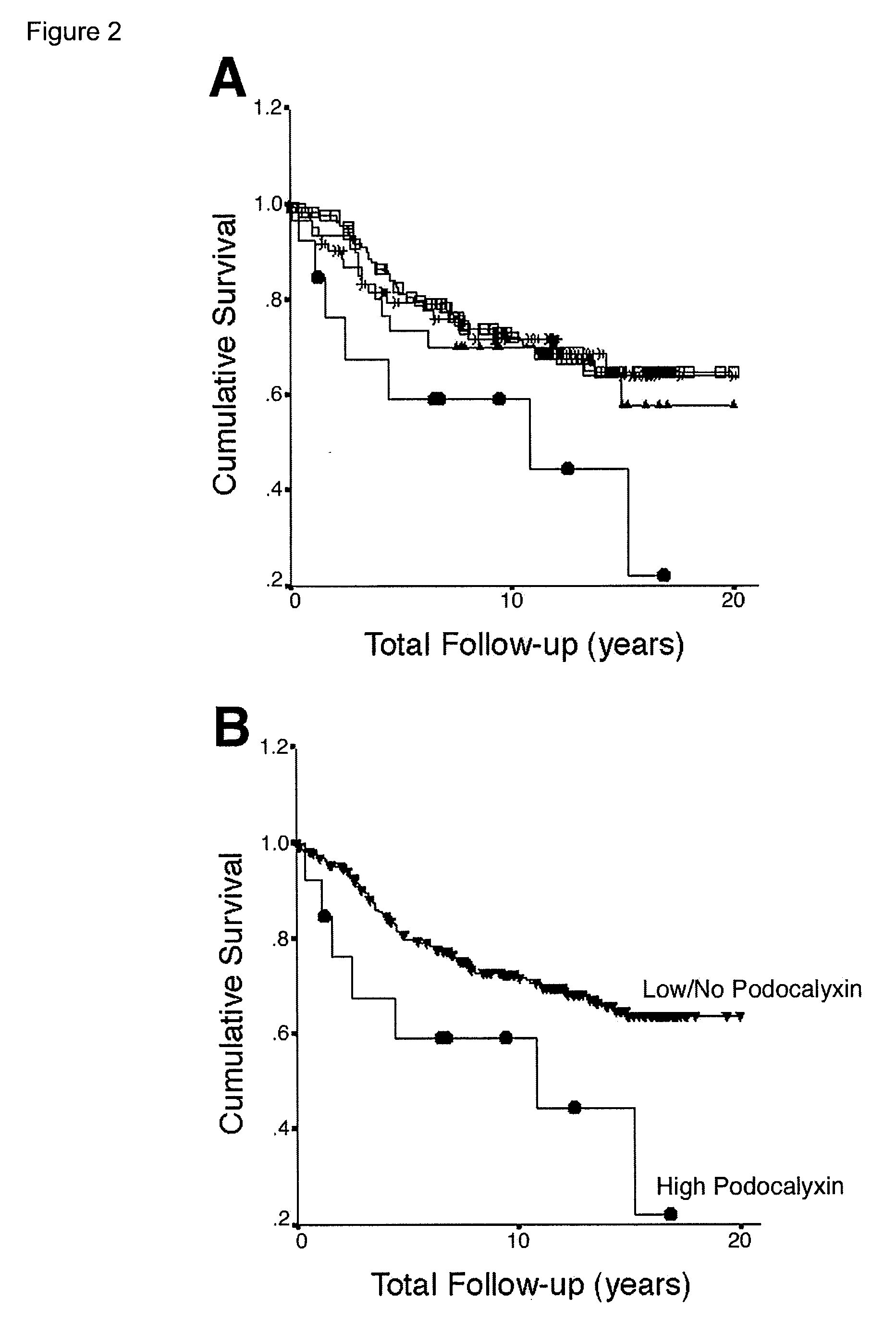 Methods for detecting and treating cancer