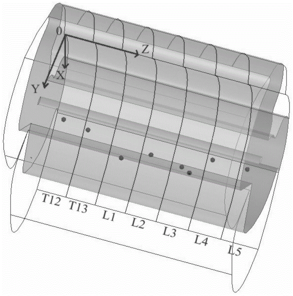 An experimental method for the reconstruction of rat leg movement based on electrical excitation of spinal nerve function