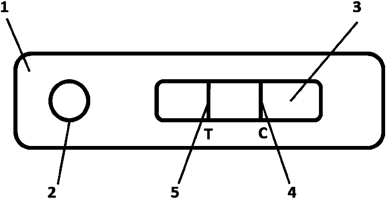 Rapid quantitative detection method for immunochromatographic test paper cards