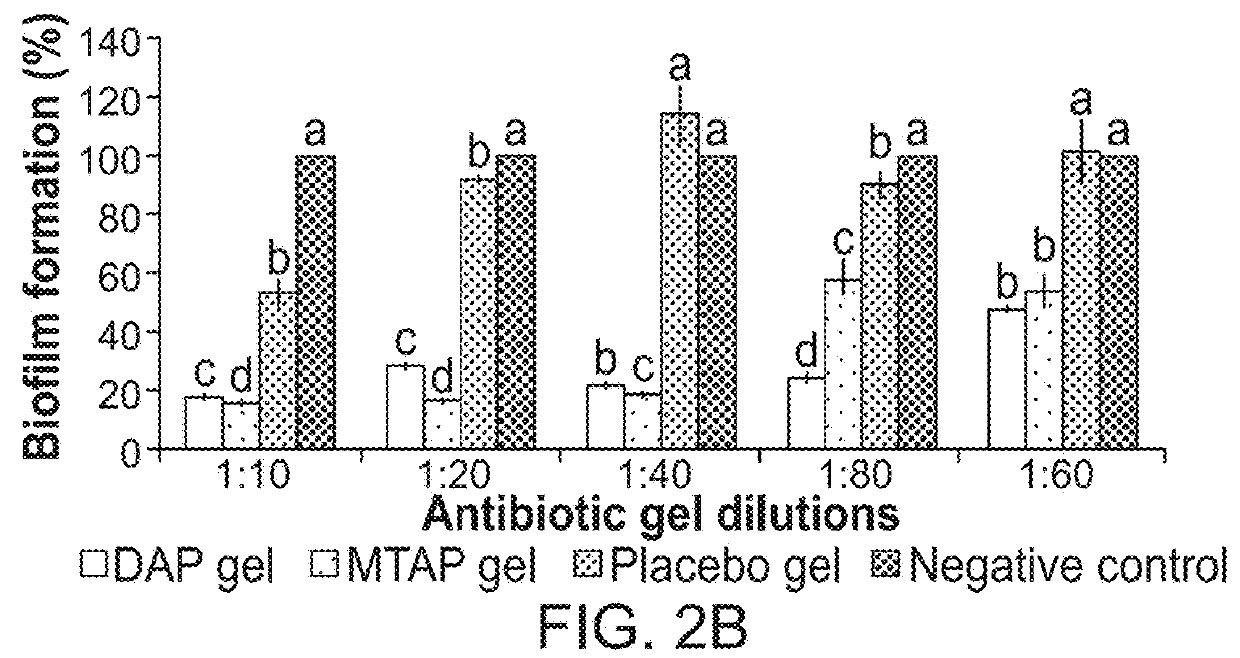 Delivery systems for application of antibiotic gel formulation