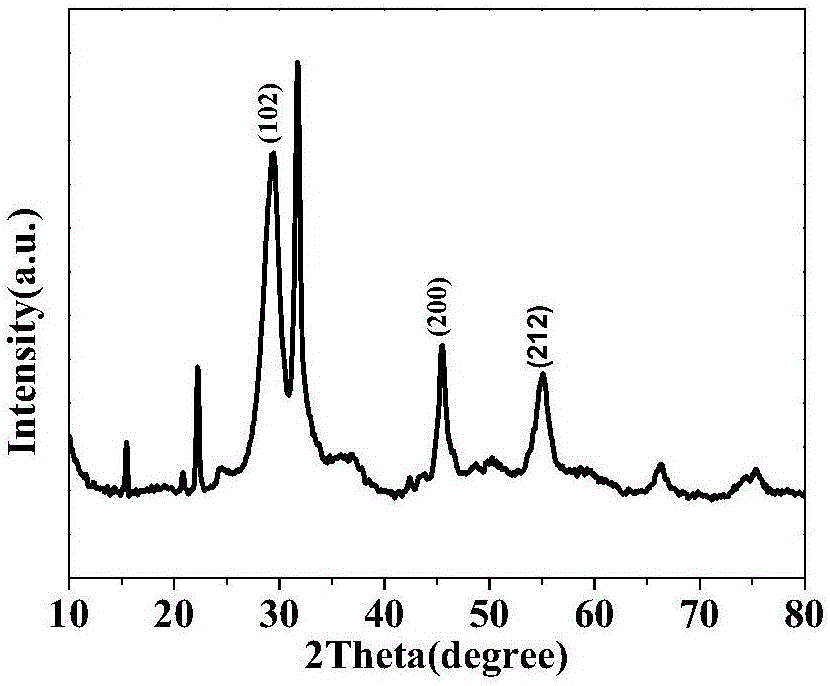Lotus-root-shaped porous carbon/oxyhalogen bismuth semiconductor composite photocatalysis material as well as preparation and application thereof