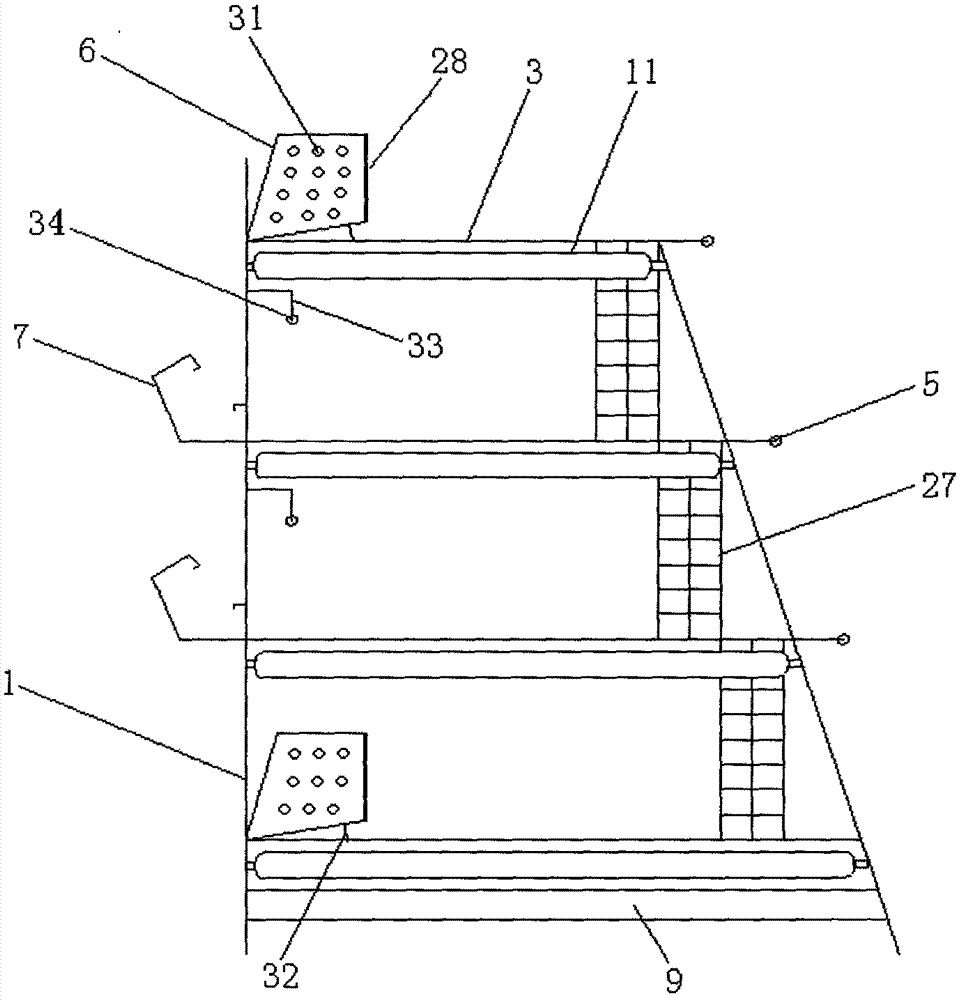 Stacked chicken cages for free-range laying hens