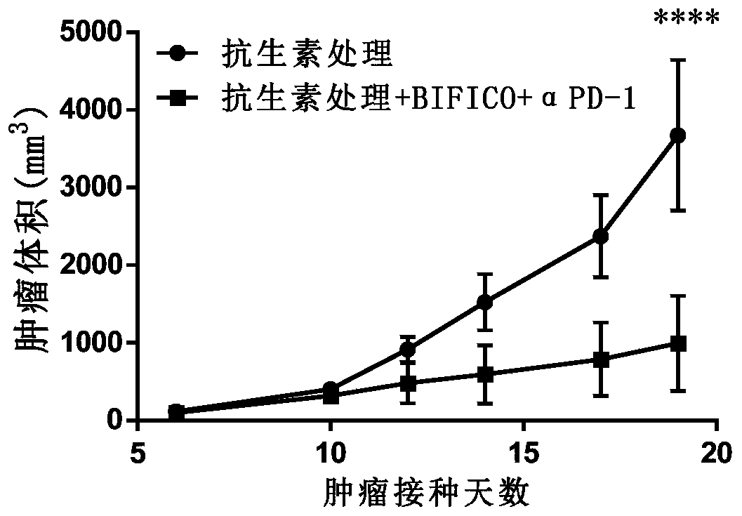 Anti-tumor composition