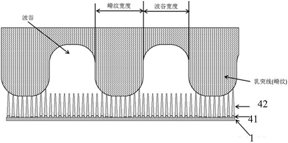 Biological recognition device and biological recognition method