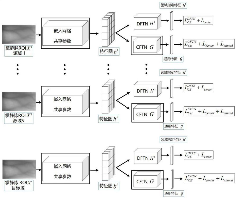 Finger vein recognition method and system based on multi-source domain migration