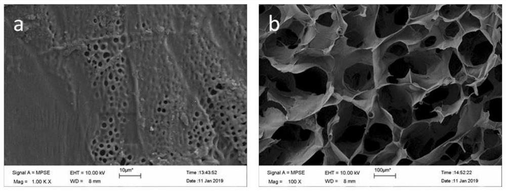 A poplar wood steam explosion liquid hemicellulose-based hydrogel and preparation method thereof