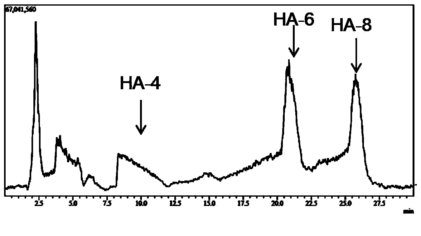 Method for preparing small-molecule oligomeric hyaluronic acid through enzyme method