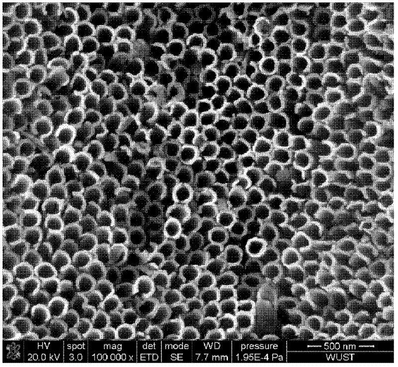 A kind of titanium dioxide nanotube array film and preparation method thereof