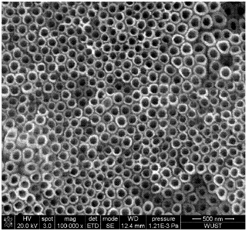 A kind of titanium dioxide nanotube array film and preparation method thereof