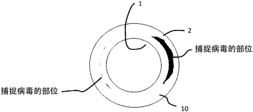 Virus removal membrane