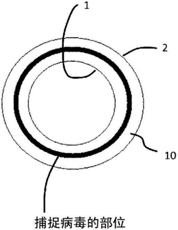 Virus removal membrane